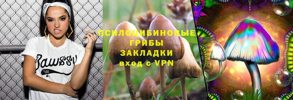 мяу мяу мука Бородино