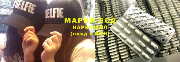 мяу мяу мука Бородино