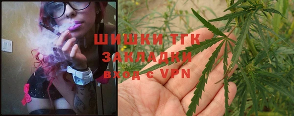 крисы Бугульма