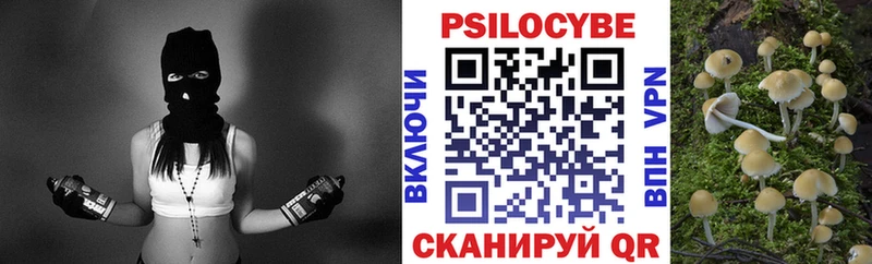 сайты даркнета телеграм  Новосокольники  Псилоцибиновые грибы Psilocybe 